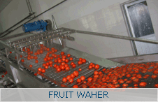 Fruit Water