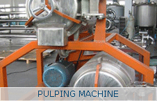 Pulping Machine