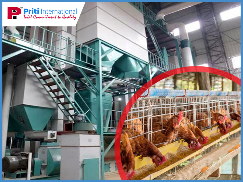chicken feed plant