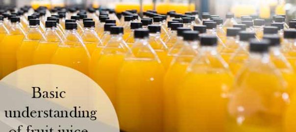 The Dynamics of Fruit Juice Processing Plant Cost in India