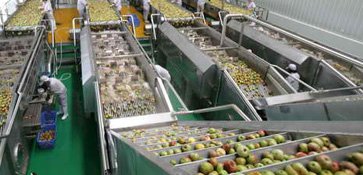 Kas Food & Beverage Pvt. Ltd.