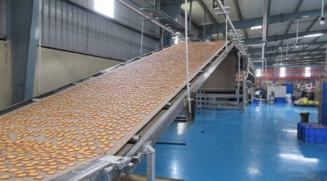 AUTOMATIC BISCUIT PLANT